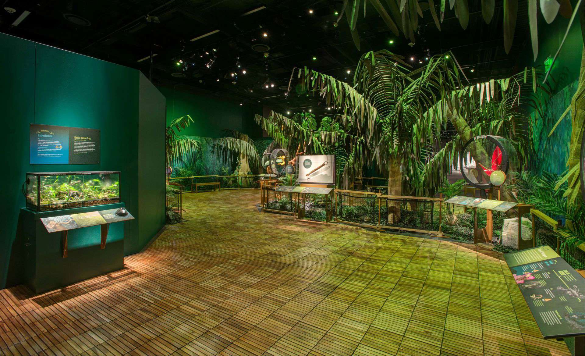 Explore Nature's Toxic Arsenal