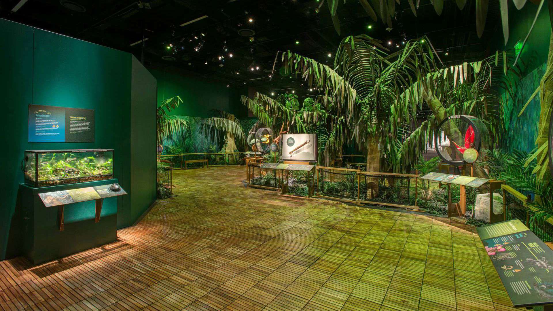 Explore Nature's Toxic Arsenal