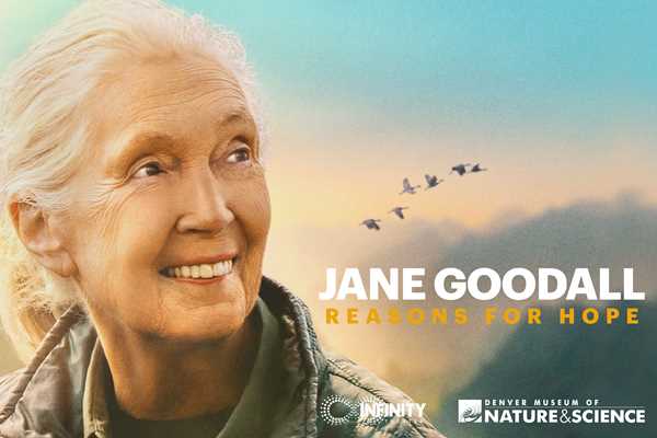 Image for Member Movie Night: Jane Goodall - Reasons for Hope @ 7:30 P.M.