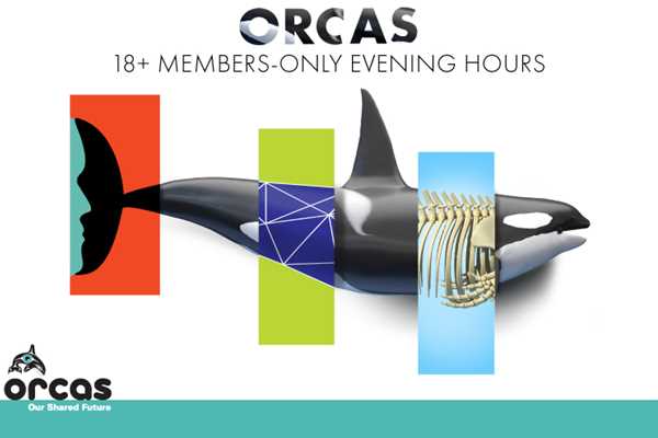 Image for 18+ Members-Only Evening Hours: Orcas: Our Shared Future