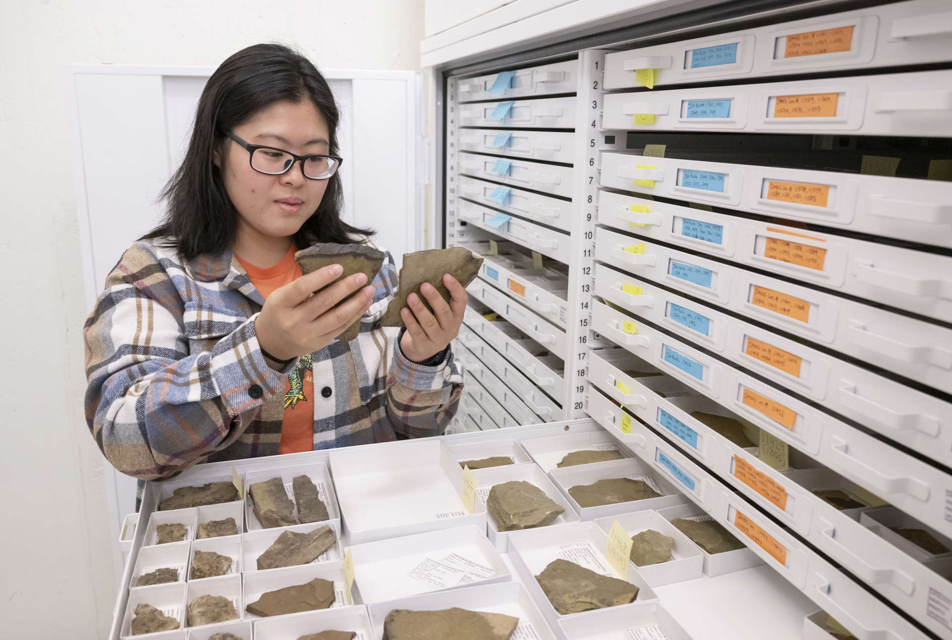 Person looking at fossils