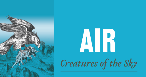33. Criaturas del Aire