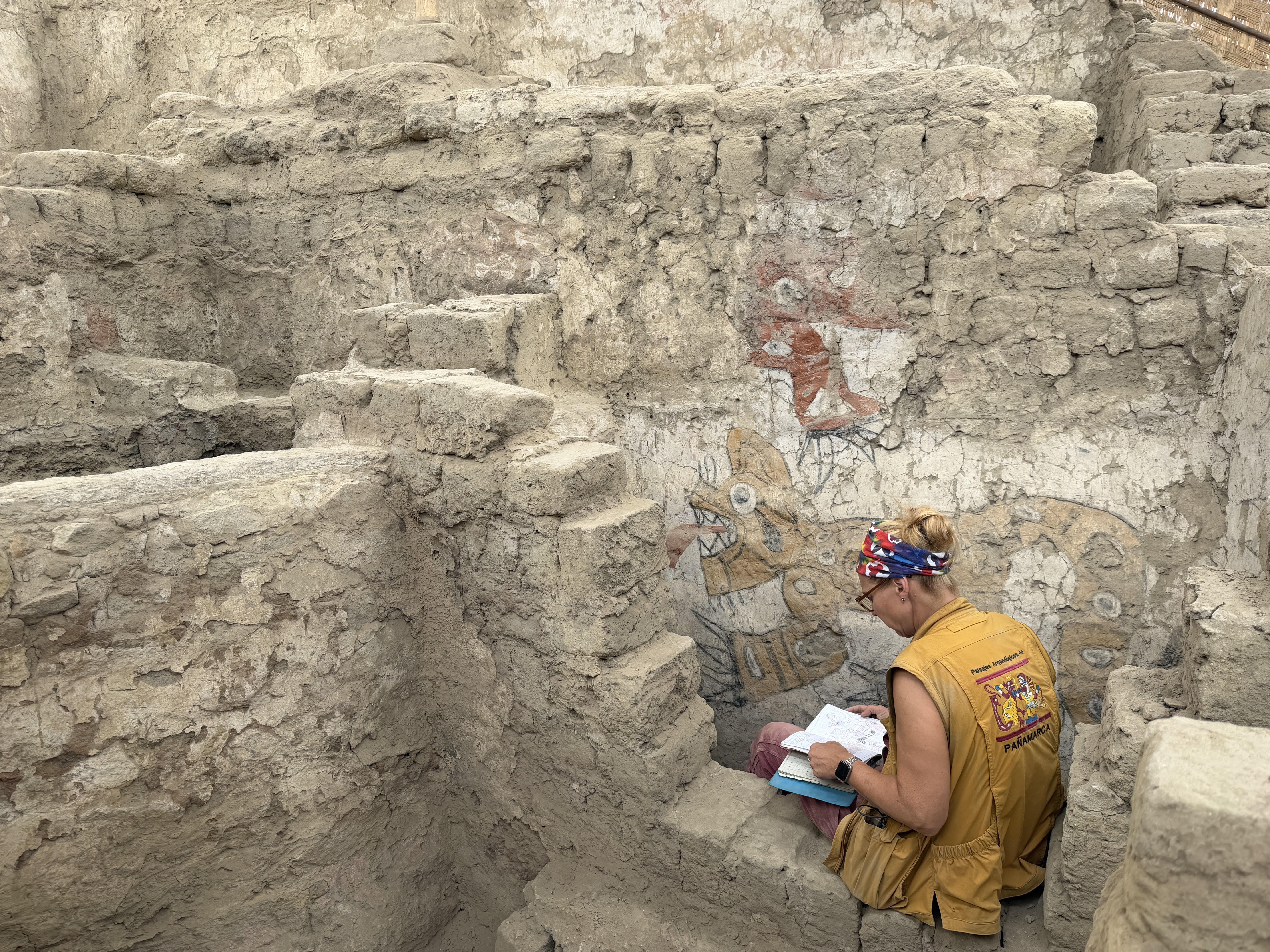 Pañamarca Revisited: An Evening with Dr. Michele Koons