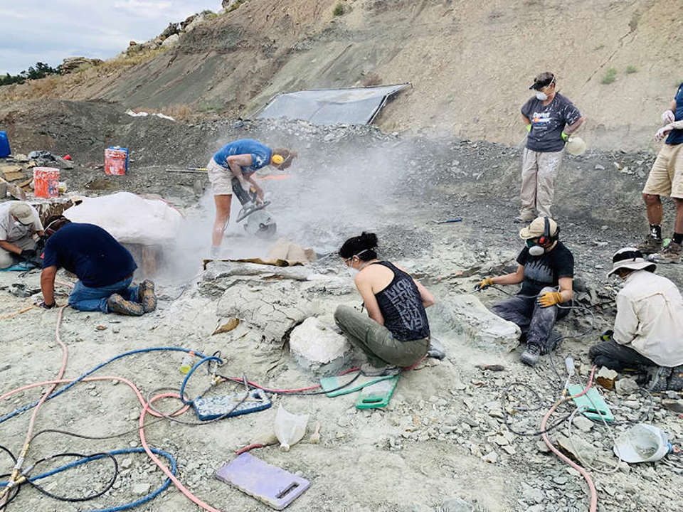 Group of people working in a field site with power tools with dust in the air