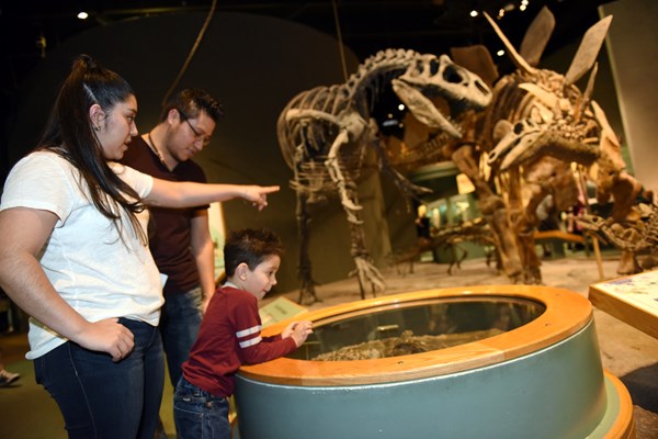 OFFICIAL Denver Museum of Nature & Science : Denver Museum Of Nature &  Science