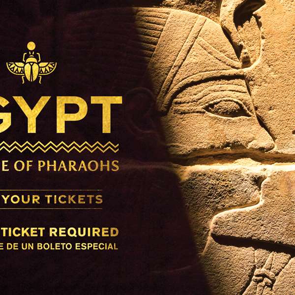 Explore "Egypt: Time of the Pharaohs"