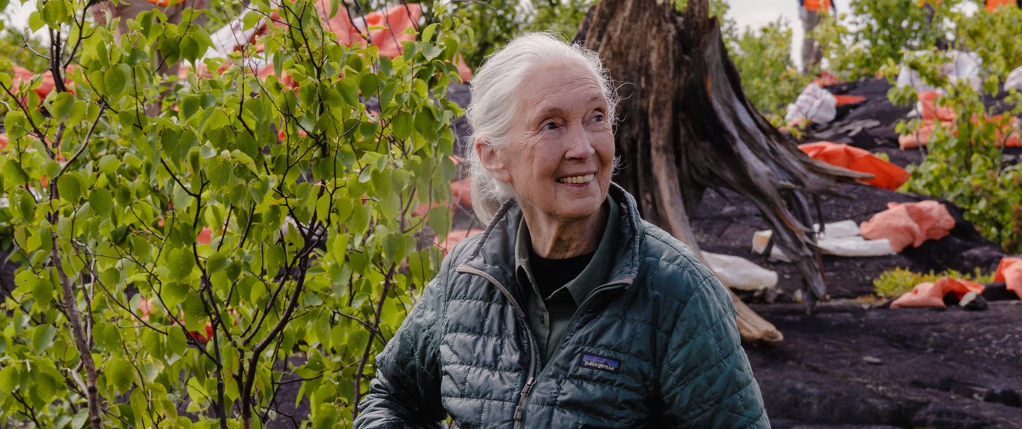 Jane Goodall’s Reasons for Hope Denver Museum of Nature & Science