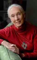 Poster thumbnail for Jane Goodall's Reasons for Hope