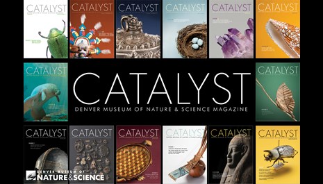 Image for Catalyst Magazine Goes Green!