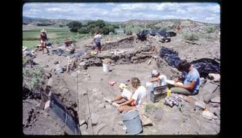 Image for The WS Ranch Archaeology Collection