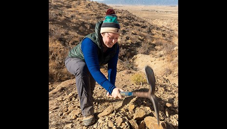 Image for Insider Story: A Year in Review from the Earth Sciences team at the Denver Museum of Nature & Science