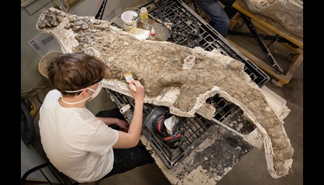 Image for Museum Program Provides Youth with Hands-on Work Experience