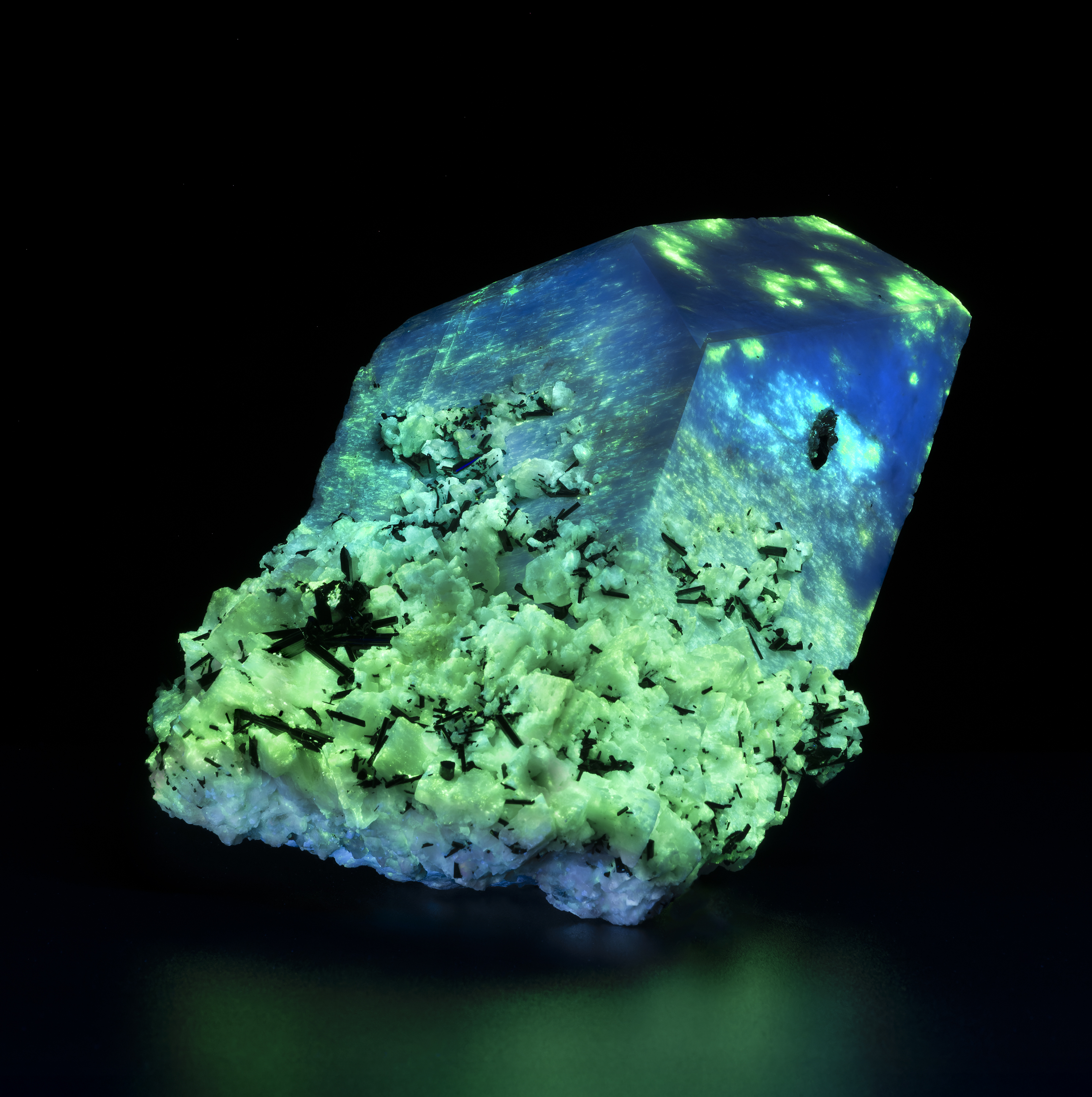 A large white fluorescent microcline crystal, fluorescing blue and green, with small black schorl crystals, collected in Afghanistan and donated in 2025. Catalogue number: EGM.19548 (Photo/ Rick Wicker)