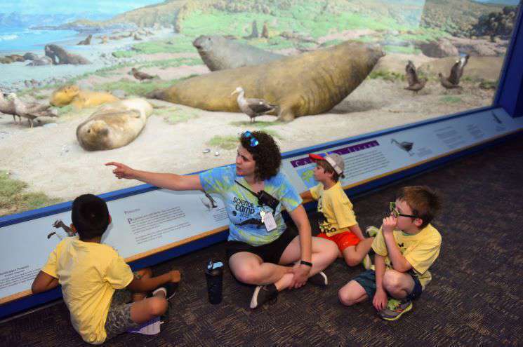 A woman and children are seated in front of a diorama displaying elephant seals, engaging with the captivating image.