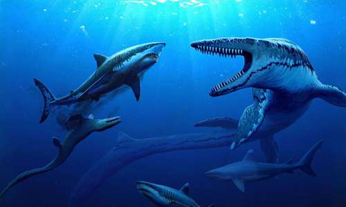 Jurassic Oceans illustration
