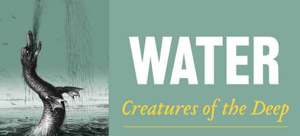 15. Criaturas del Agua