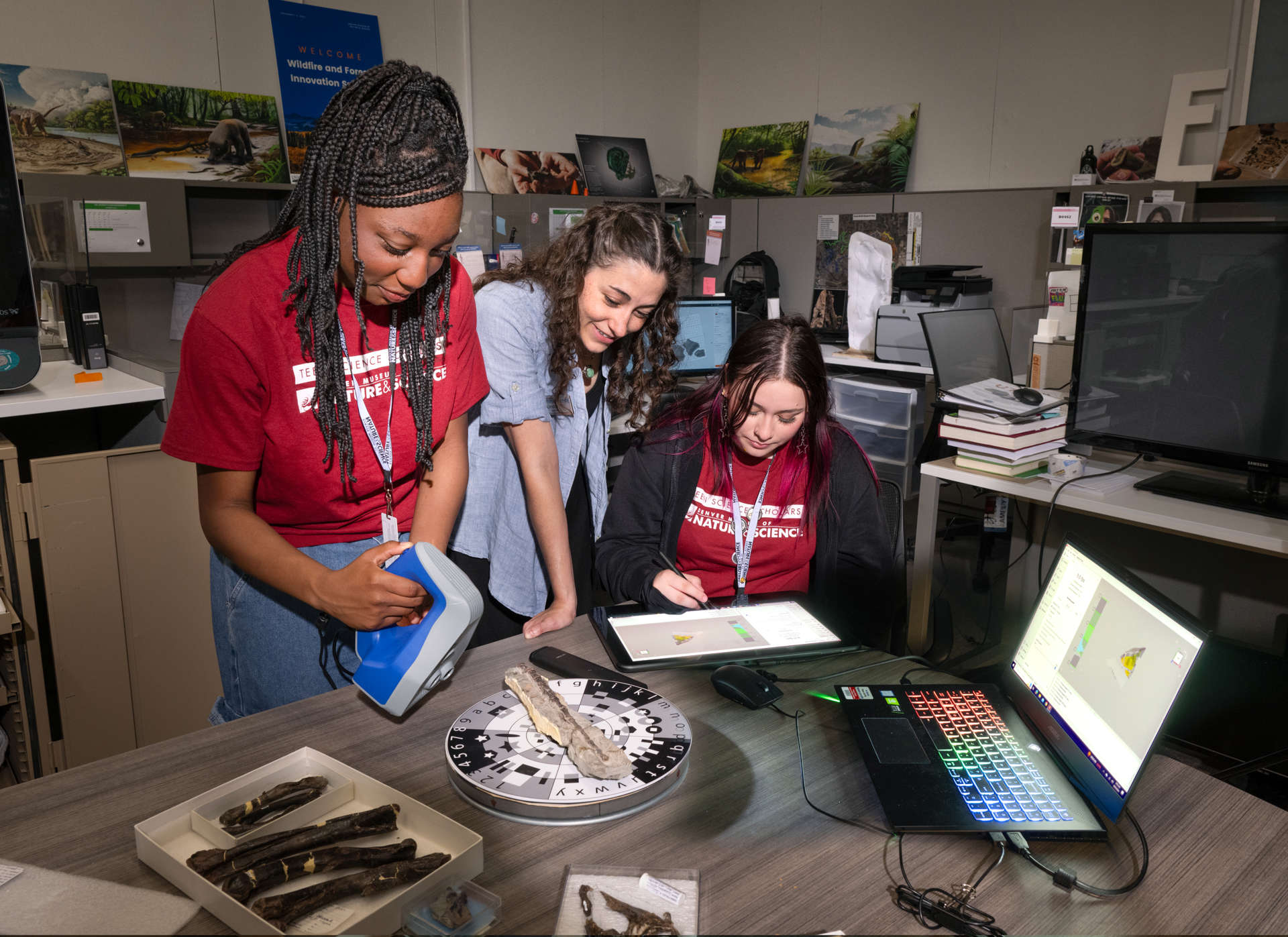 Madagascar’s Bizarre Fossil Animals: From the Lab to Collections 