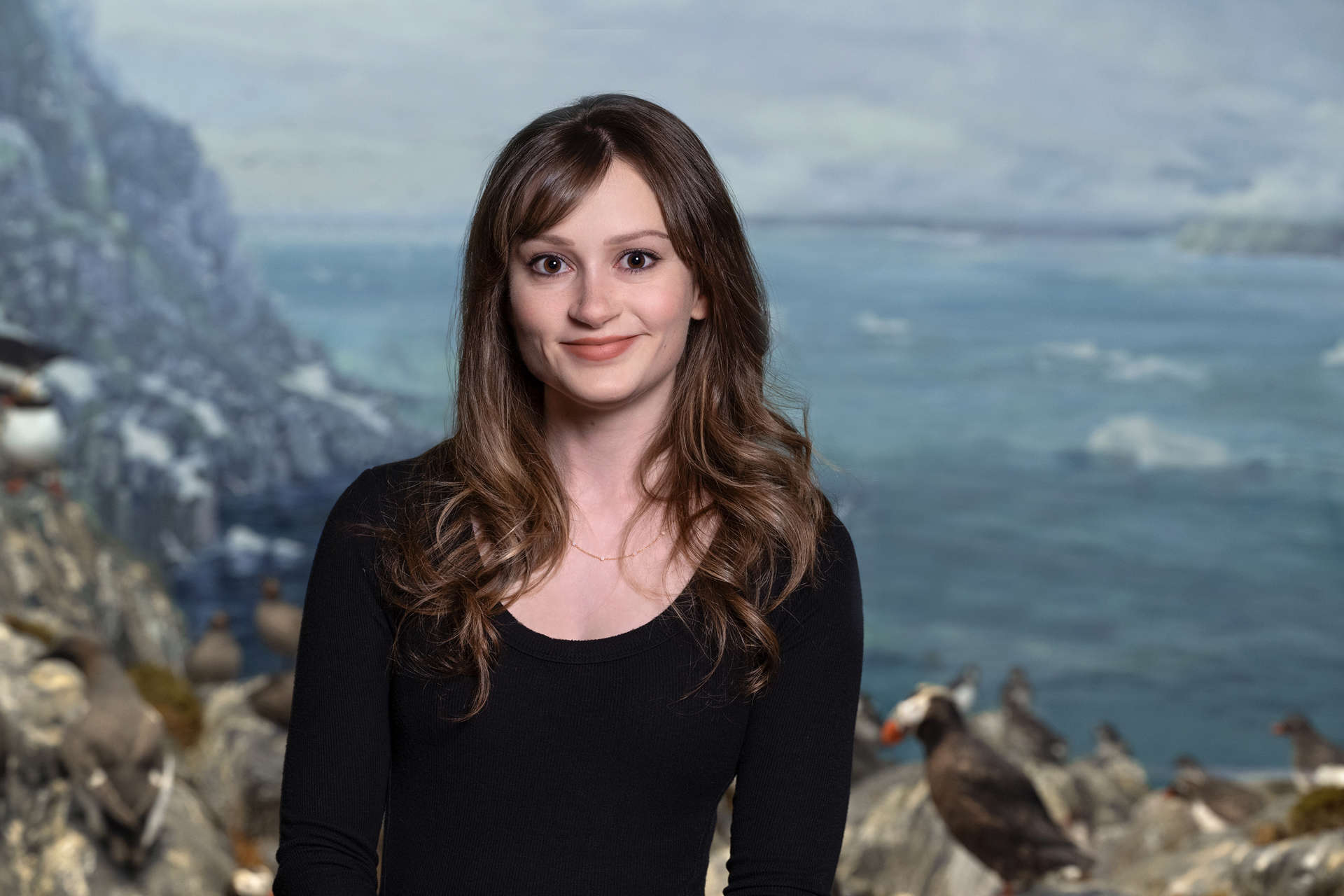 Bridget N. Chalifour, PhD