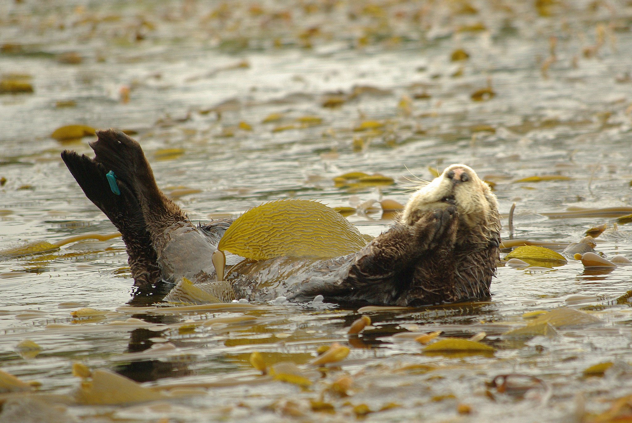 3587052417 Db94fff768 K