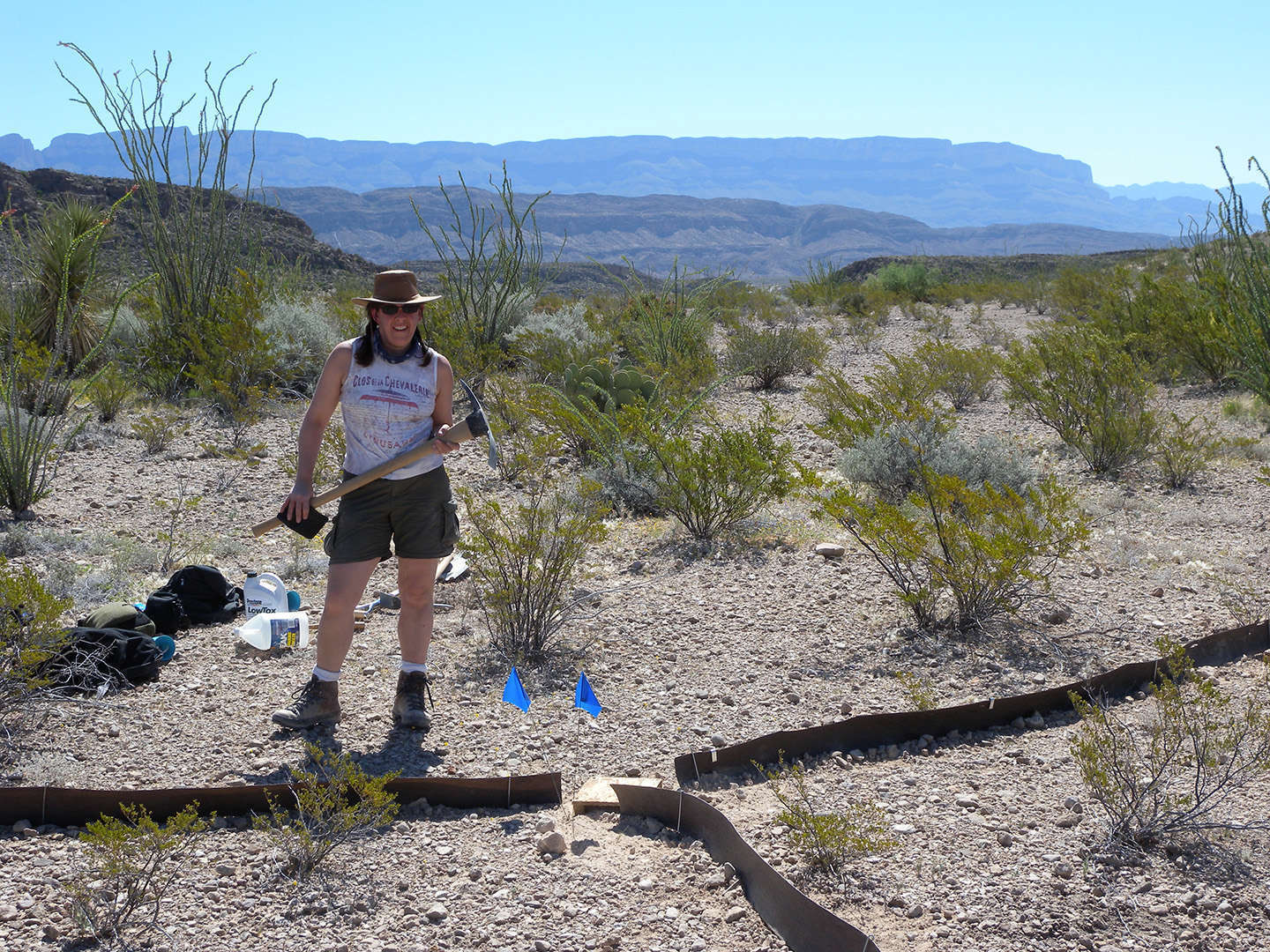 Dr. Paula Cushing standing in a Texas desert holding a pick axe with various collecting equipment at her feet.