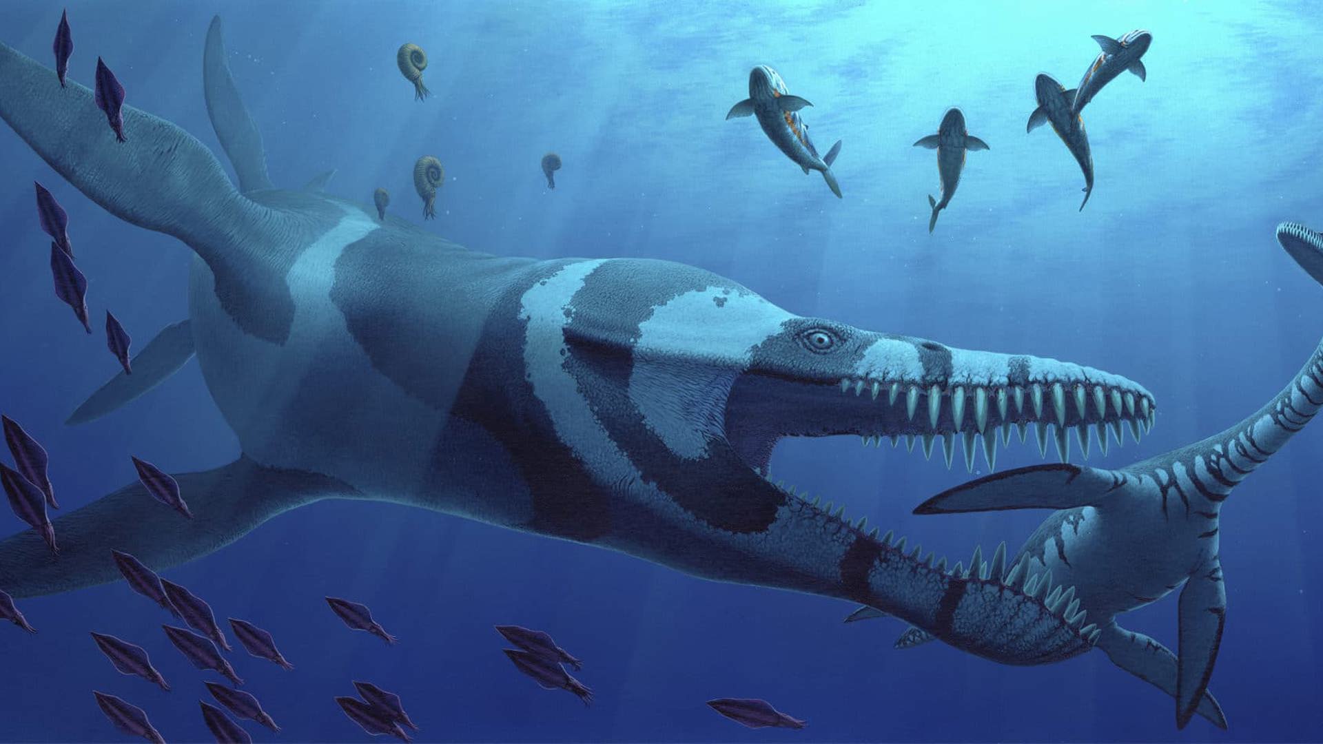 Jurassic Oceans Monsters Of The Deep