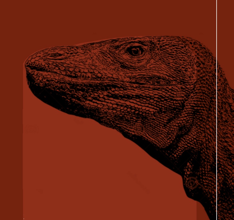 31. Un dragón en la familia