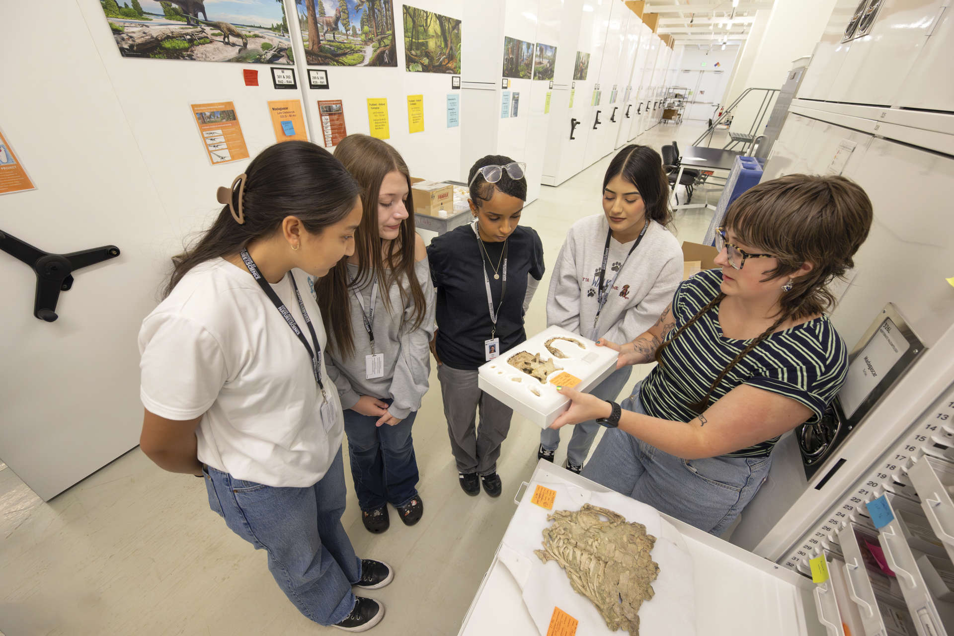 People looking at collections