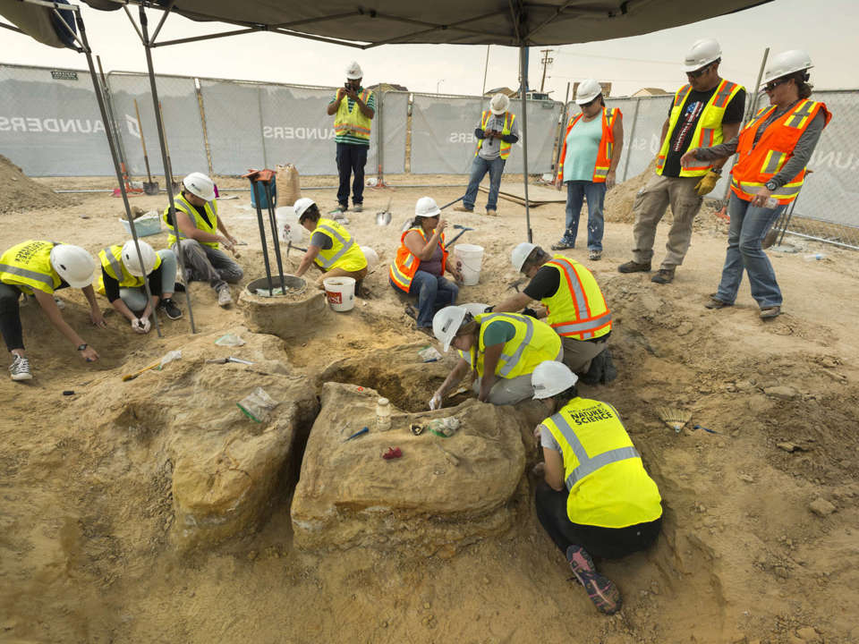 A group of people in hard hats and flourescent vests working under a large tent to prepare fossils to be jacketed for removal