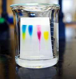 Banner image for Paper Chromatography