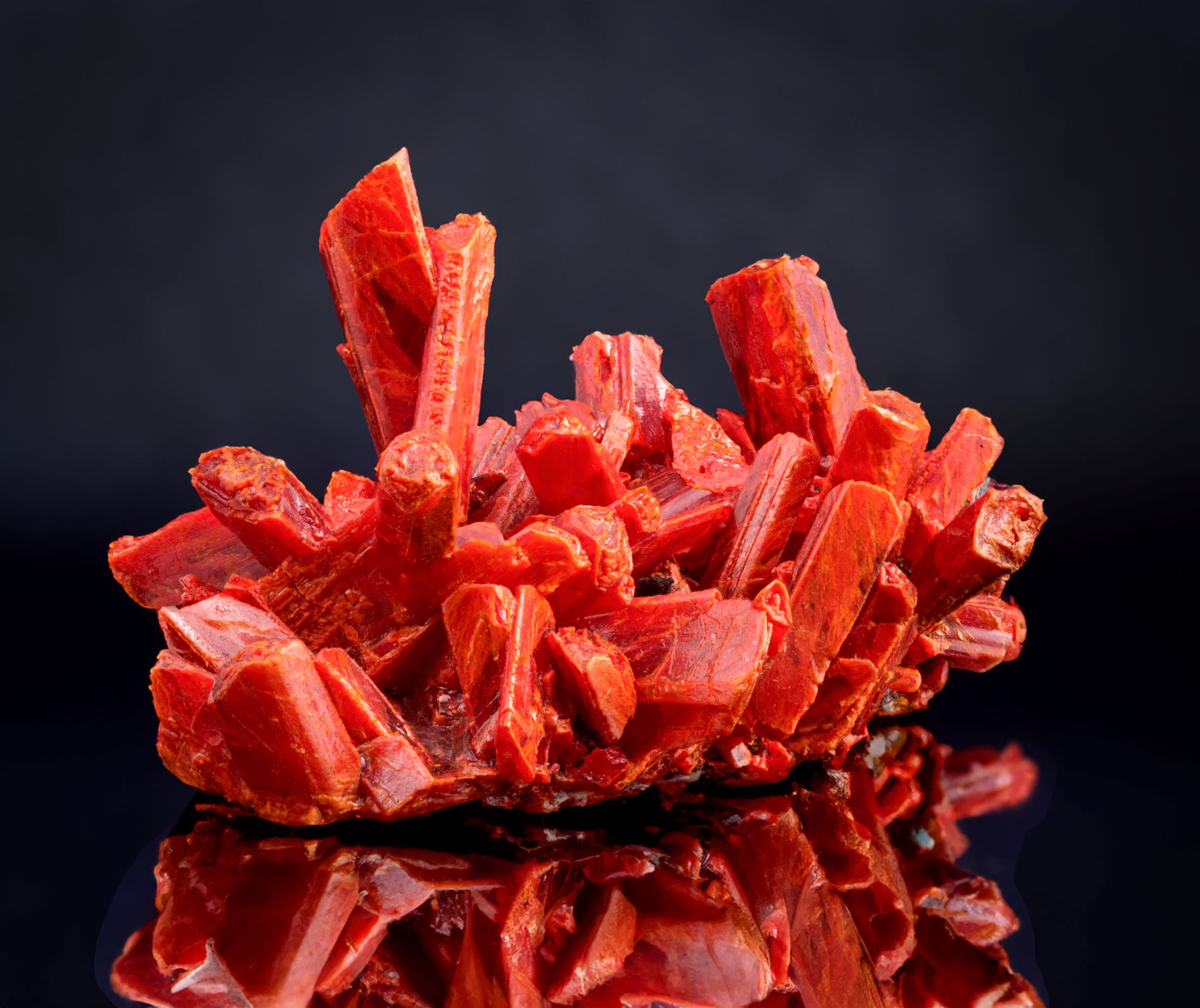 Realgar is a toxic mineral made of arsenic bonded to sulfur. This realgar was collected from Chihuahua, Mexico. (Photo/ Rick Wicker)
