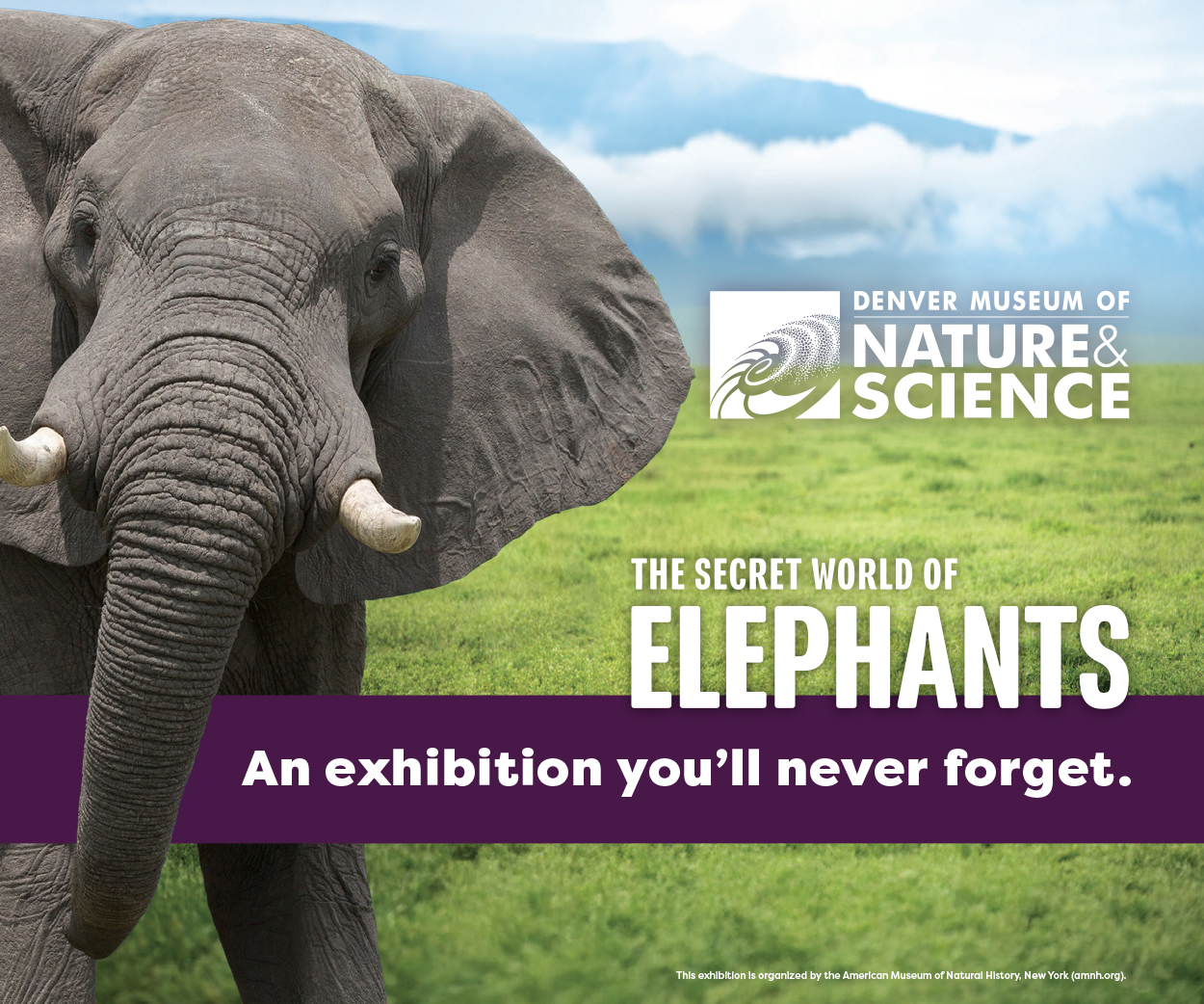 Image of student and sea turtle collection