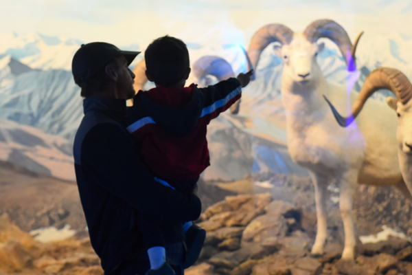 Guests looking at exhibit
