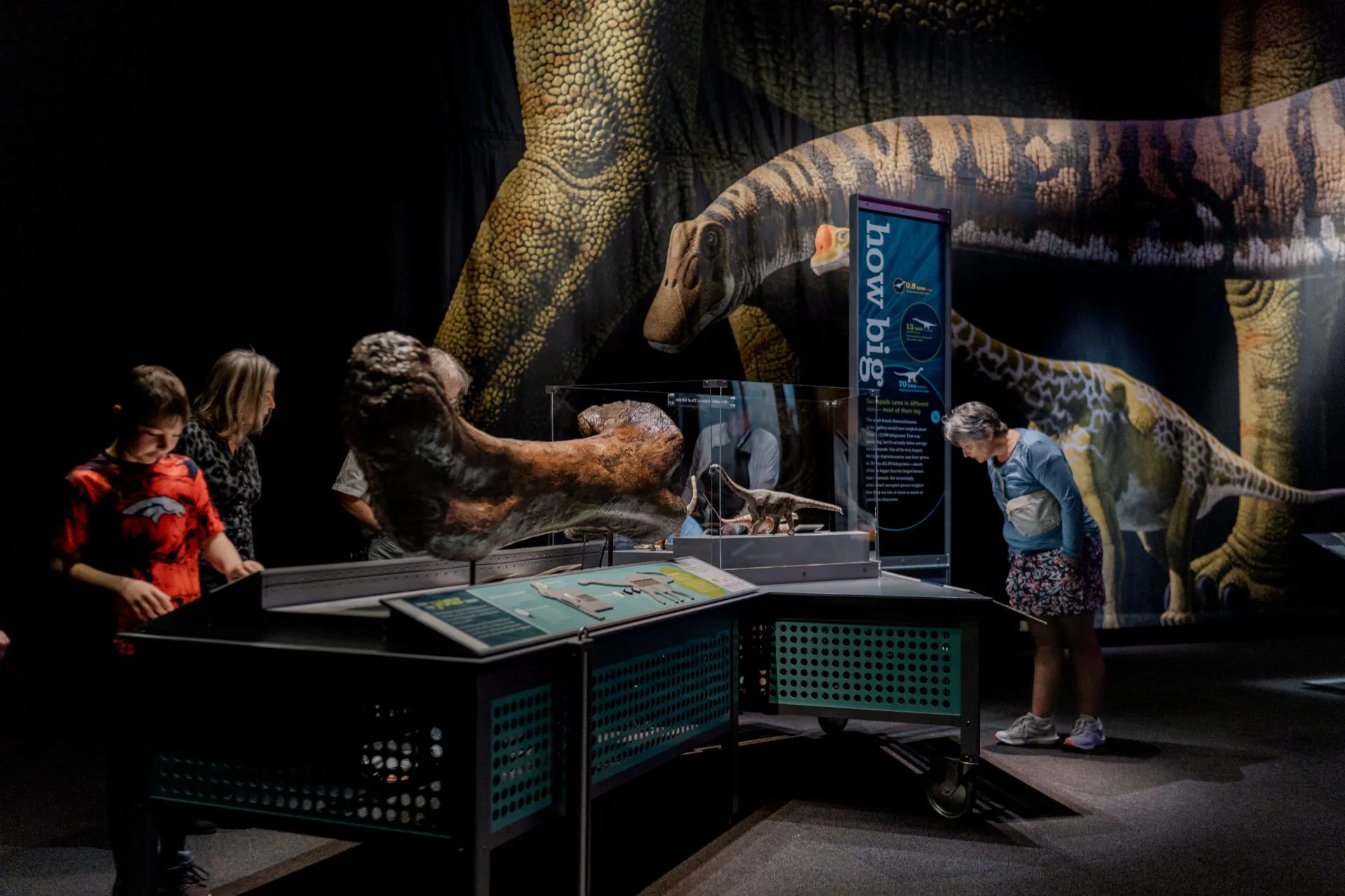 artists rendering of dinosaurs