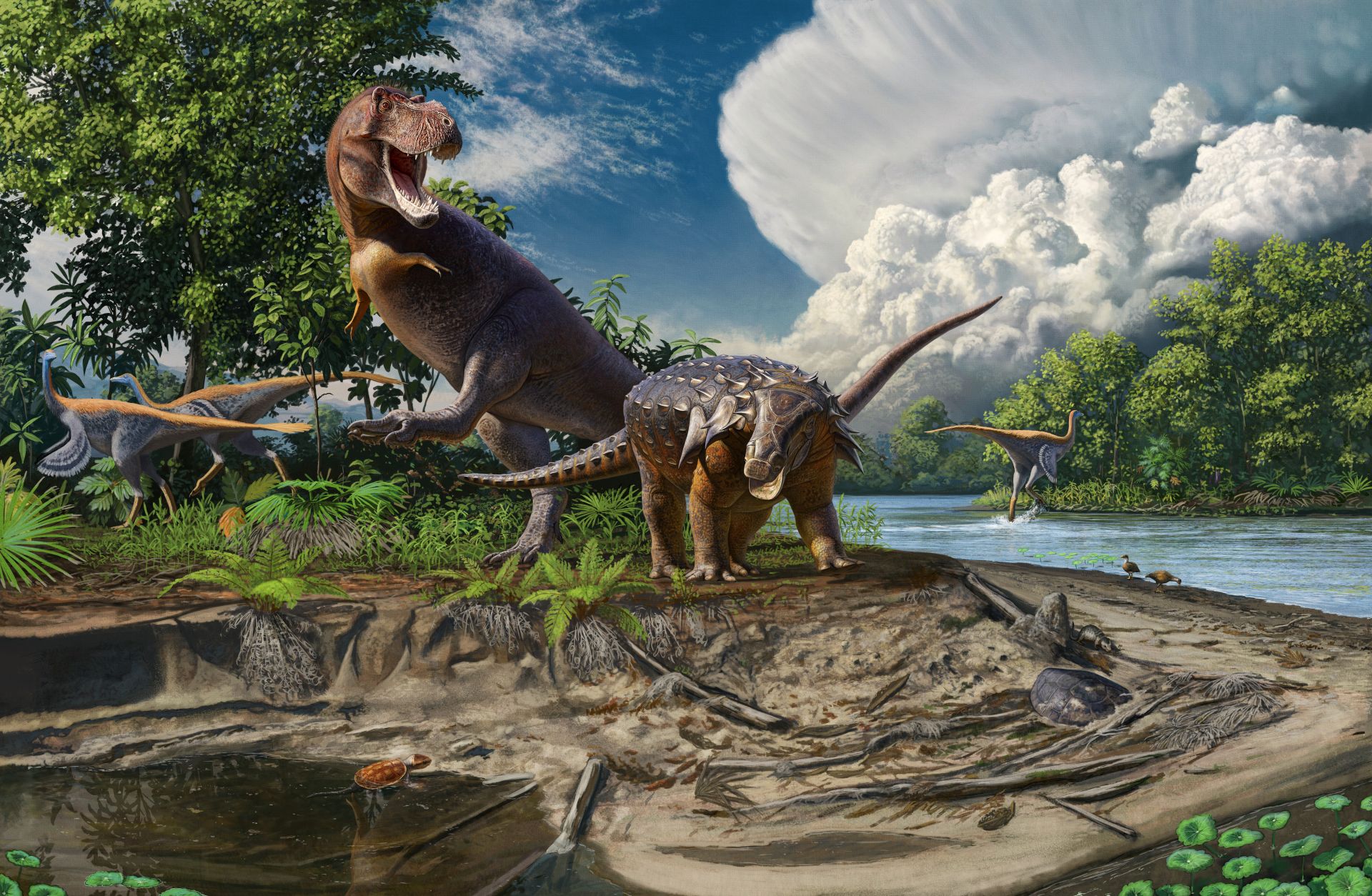 Andrey Atuchin Illustration of T. rex making trackway