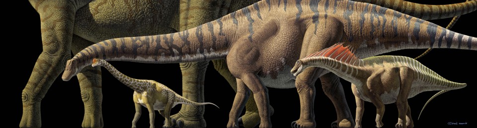 Sauropods Parade