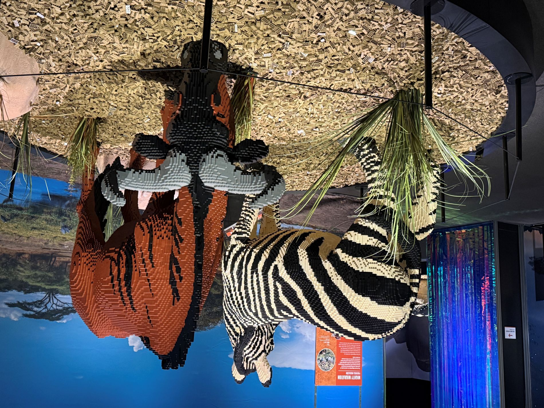 This sculpture, "Wildebeast and Zebra," created by artist Sean Kenney in 2016 took 875 hours and 124,794 LEGO® bricks to build. (Photo/ Taran Volckhausen)