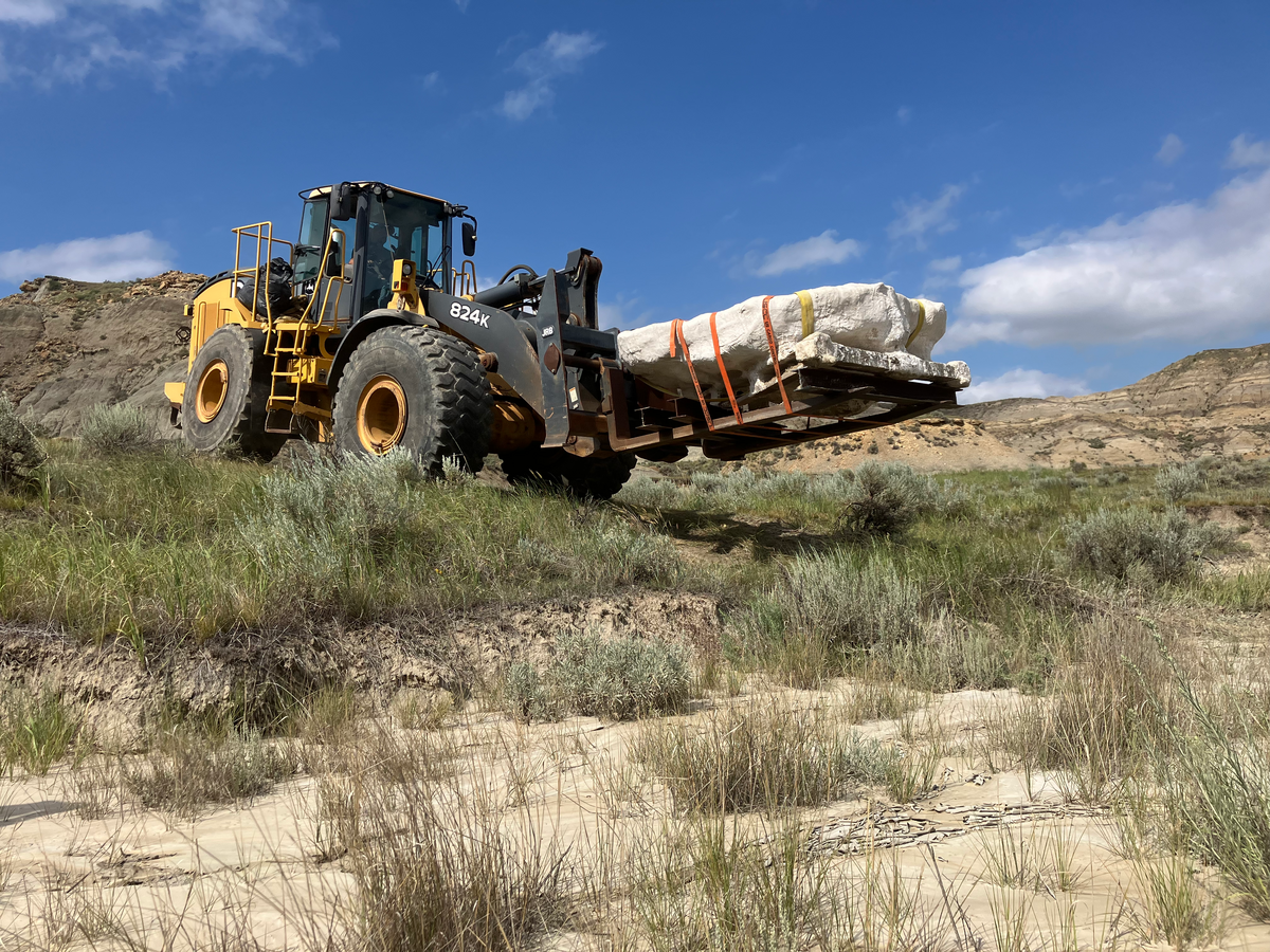 The front loader taking the fossil jacket to the highway to transport to the Museum.