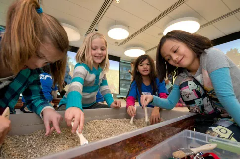 Dino Detectives Wonder Workshop