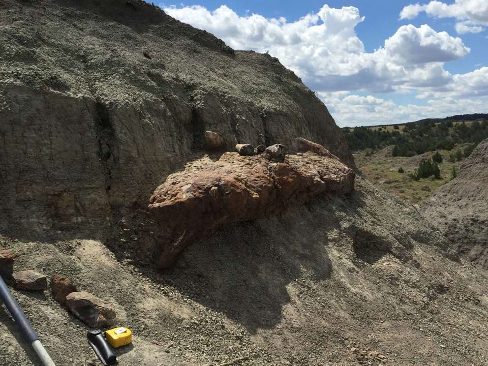 picture of a cliff in the Hell Creek area with a large formation sticking out of the side, a slightly different color than the rest of the rock.