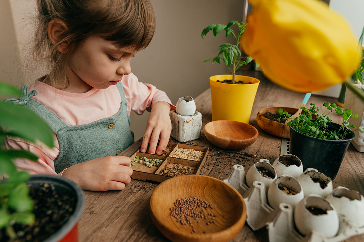 Close Up Of Little Girl Planting Seeds In A Eggshe 2026 03 16 07 08 32 Utc