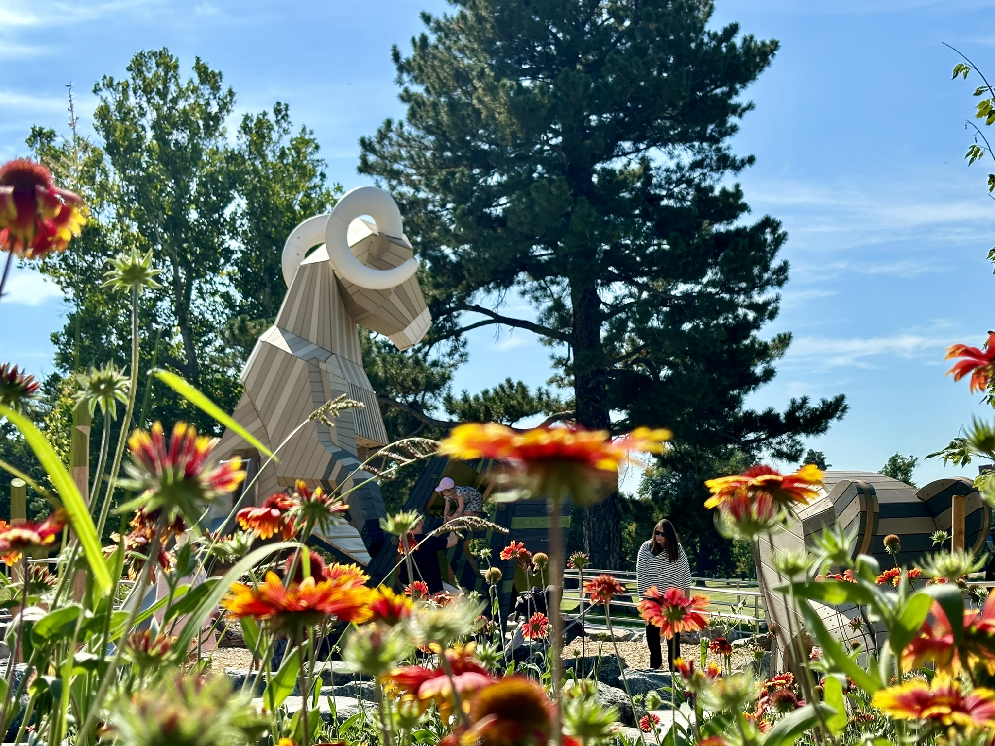 Twenty-foot climbable bighorn sheep structure in Nature Play on opening day, Sept. 10, 2024. (Photo/ Sarah Poetzschke)