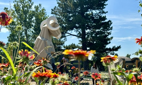 Flowers And Ram Tight Shot 1 (1)