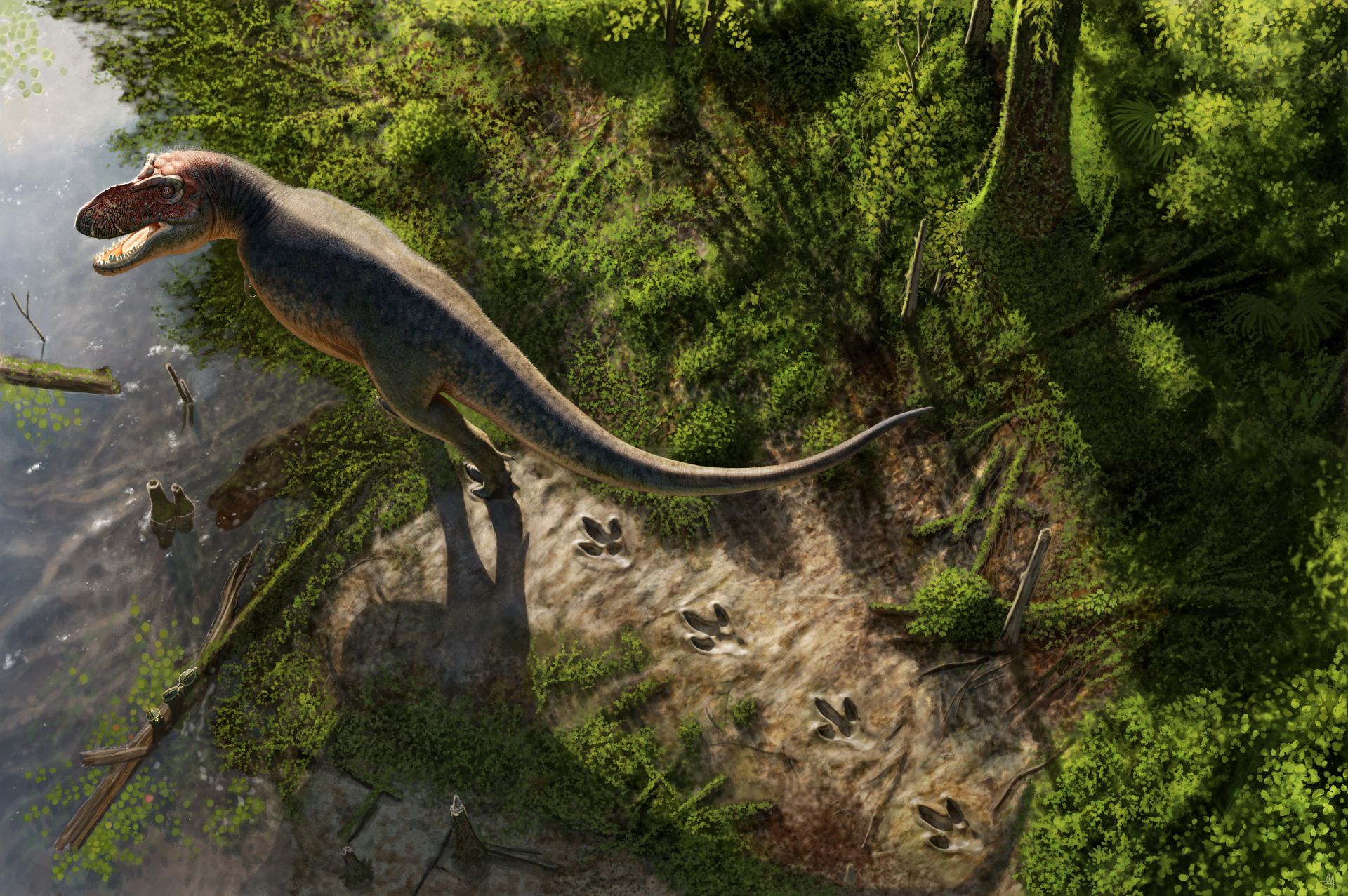 Walkingtrexillustration Credit Andrey Atuchin Edit