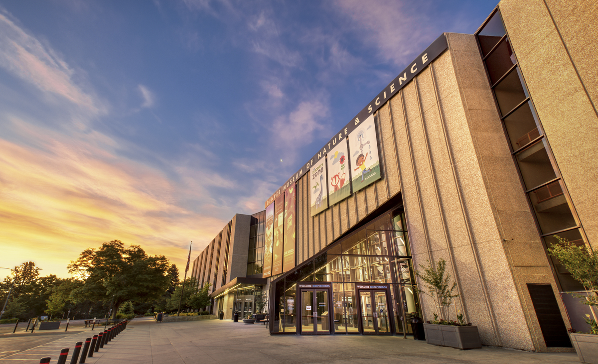 2019 75 3 1200X731 66C9cad