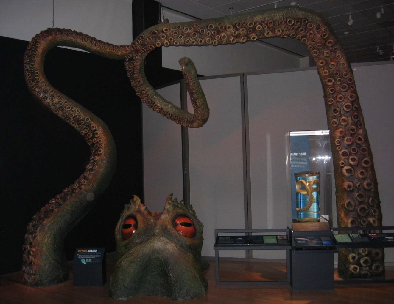 20. Kraken