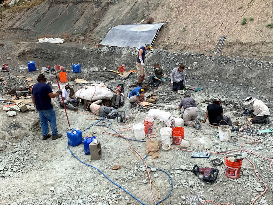 Many people working in a field site with buckets and tools scattered around and the preparation of field jackets