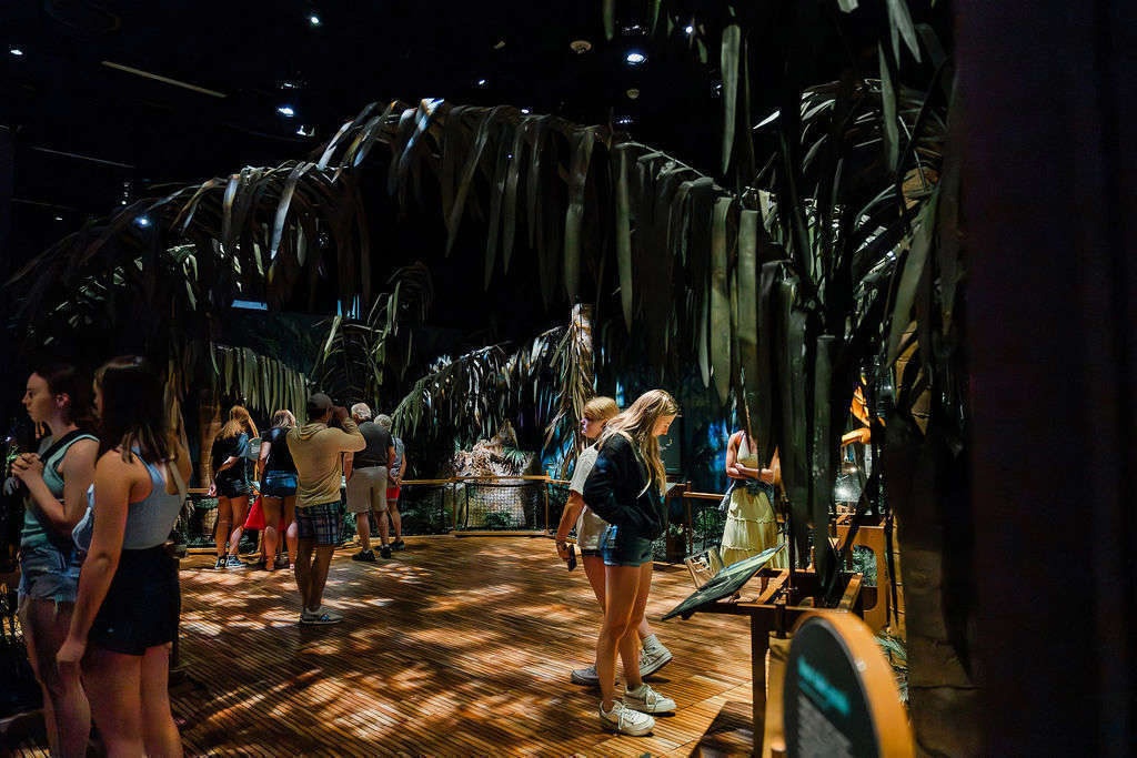 Image of The Power of Poison