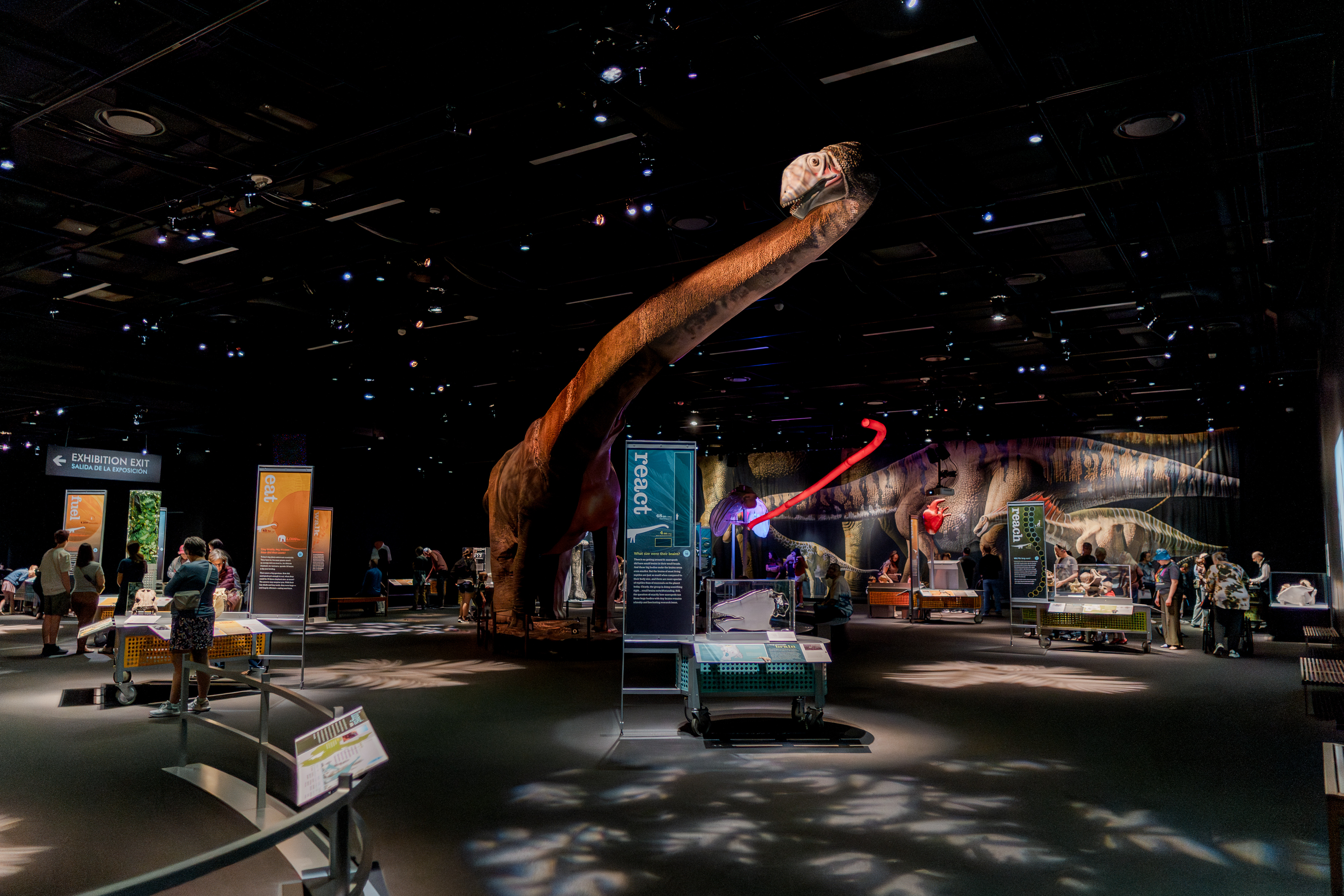 Exhibition Wide Shot