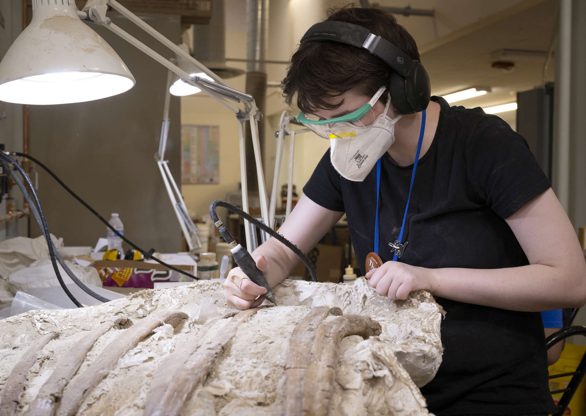 Person prepping a fossil