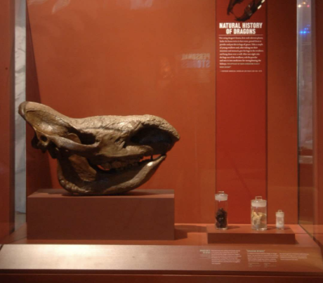 30. Historia natural de los dragones